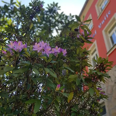 Apartmenthaus Luise 公寓