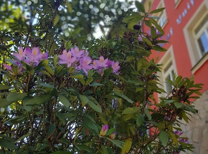 Apartmenthaus Luise Apartment